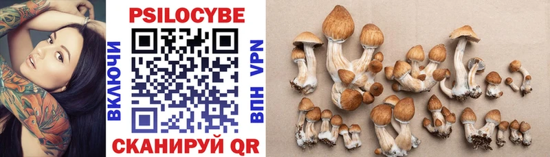 Галлюциногенные грибы MAGIC MUSHROOMS  Грязовец 